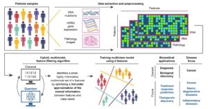 explanation chart of project